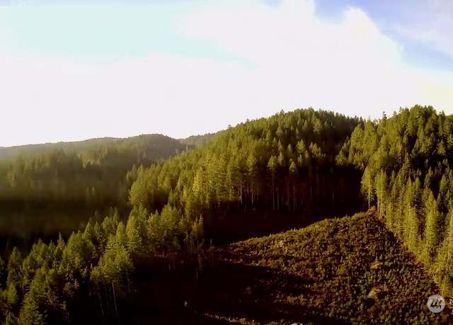 Property at 0 N US Highway 101, Shelton, WA 98584
