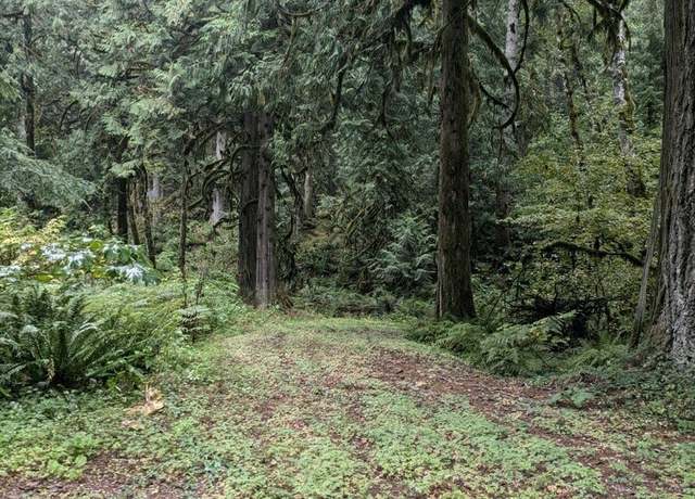 Property at 0 Cascade Park D1-68 Pl Unit D1L68, Marblemount, WA 98267