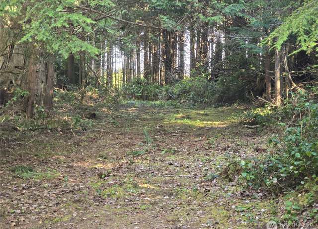 Property at 1012 Sunset St, Moclips, WA 98562