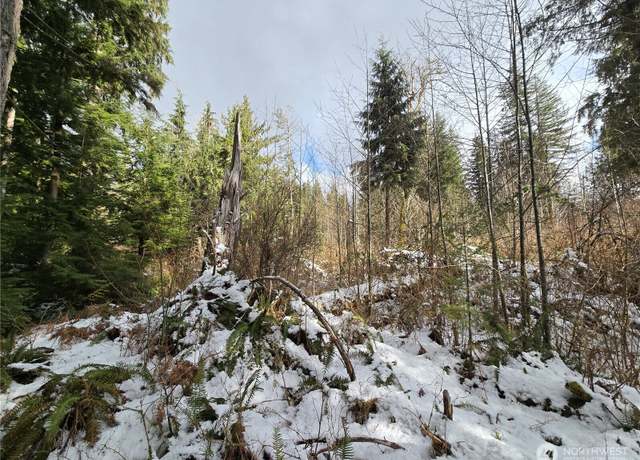 Property at 319 XX Mountain Loop Hwy, Granite Falls, WA 98252