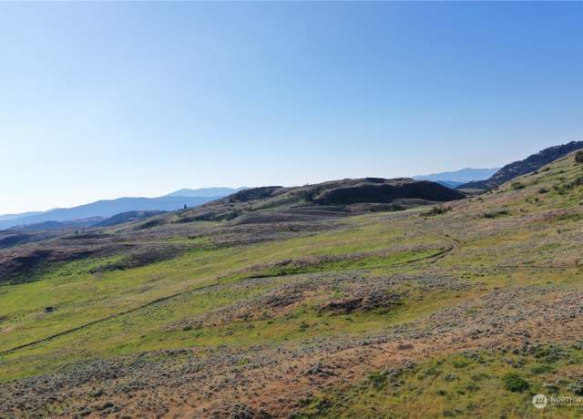 Property at 1111 TBD Ellemeham Mtn Rd, Oroville, WA 98844