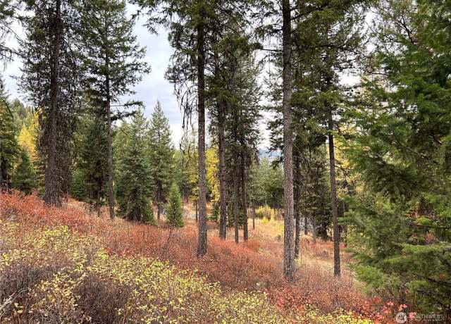 Property at 0 TBD Old Kettle Falls Rd, Republic, WA 99166