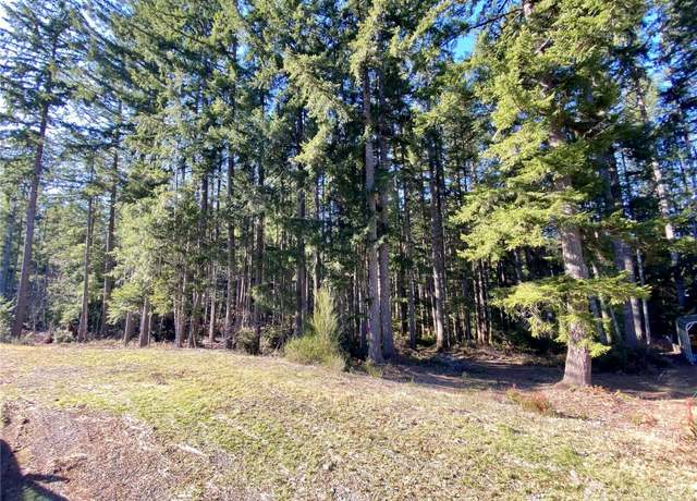 Property at 90 E Blenheim Pl, Shelton, WA 98584