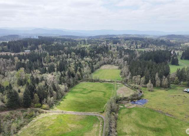 Property at 37316 & 37404 68th Ave E, Eatonville, WA 98328