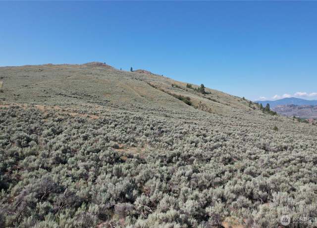 Property at 111 TBD Abie Ln, Tonasket, WA 98855