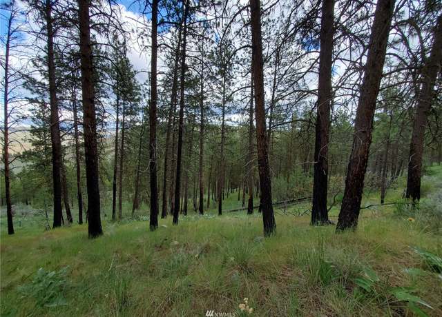 Property at 0 570X Tunk Creek Rd, Riverside, WA 98849