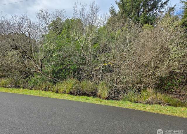 Property at 318 N Wynoochee Dr SW, Ocean Shores, WA 98569