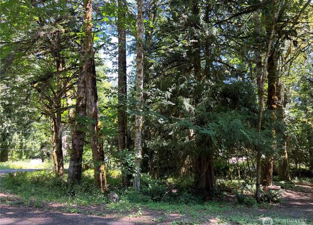 Property at 0 Mountain Trl, Brinnon, WA 98320