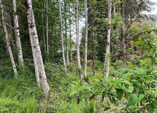 Property at 16024 Low Ln, Deming, WA 98244