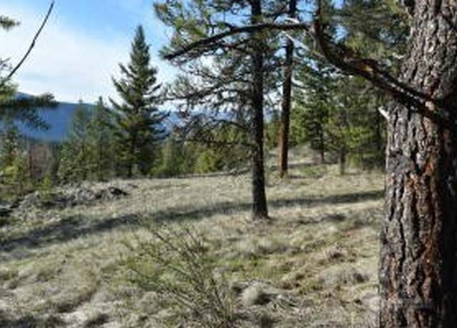 Property at 70 Excelsior Way, Curlew, WA 99166
