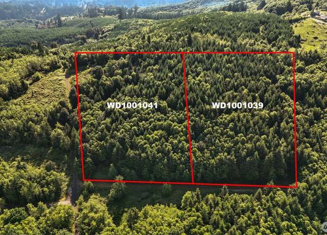 Property at 0 Lot Parcel WD1001041, Kelso, WA 98626