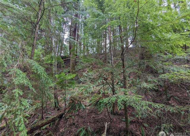 Property at 14 Black Bear Ct Unit A, Bellingham, WA 98229