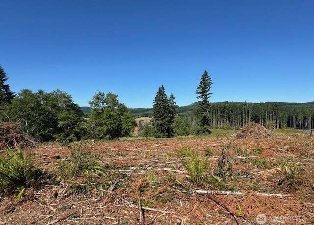 Property at 0 Nelson Rd, Winlock, WA 98596