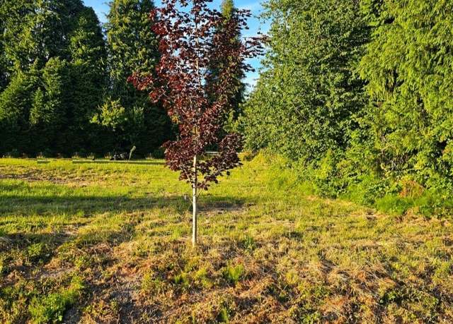 Property at 3578 Pennsylvania St, Longview, WA 98632