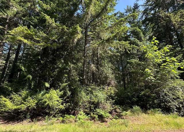 Property at 11311 115th St, Anderson Island, WA 98303