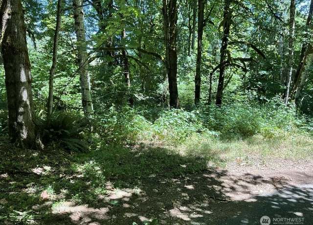 Property at 0 Lot 13 E Peyton Pl, Shelton, WA 98584