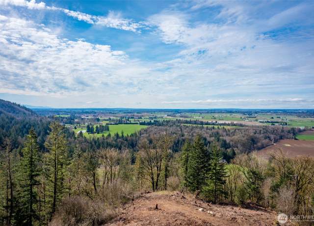 Property at 48 XX Reese Hill Rd, Sumas, WA 98295