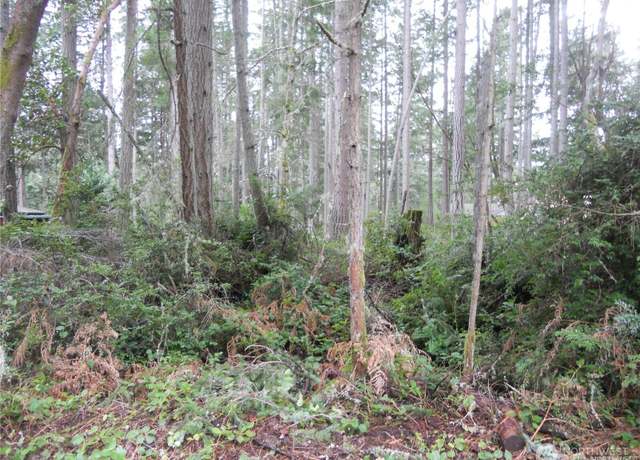 Property at 10424 107th Avenue Ct, Anderson Island, WA 98303