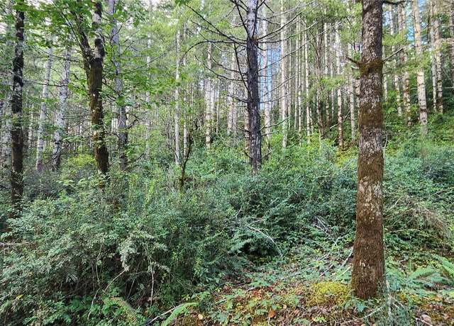 Property at 1400 E Jensen Rd E, Shelton, WA 98584