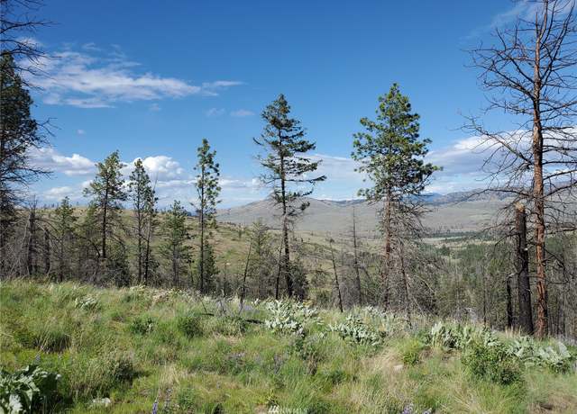 Property at 0 960X Knox Rd, Riverside, WA 98849