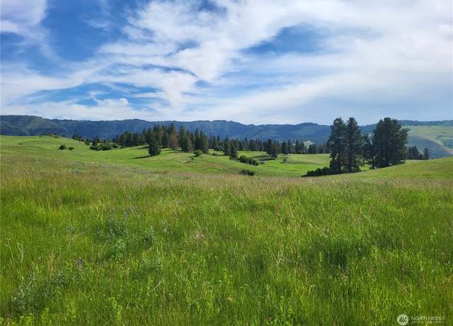 Property at 0 XX Cougar Creek Rd, Anatone, WA 99401