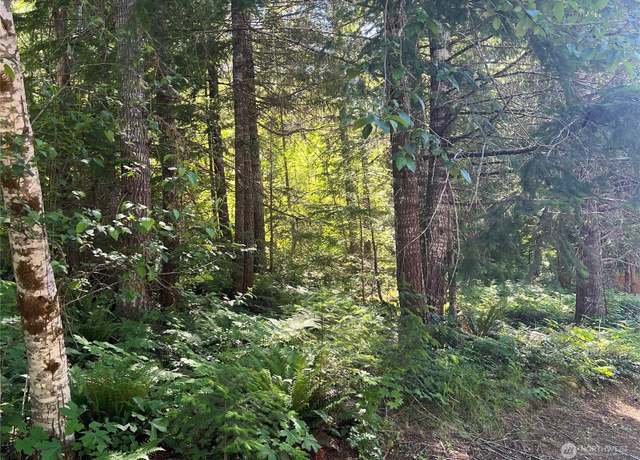 Property at 103 Ridge Ln, Packwood, WA 98361
