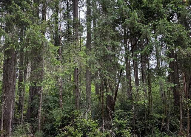 Property at 9223 Kootenai Dr, Anderson Island, WA 98303