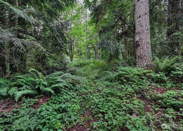 Property at 4133 W Ames Lake Dr NE, Redmond, WA 98053