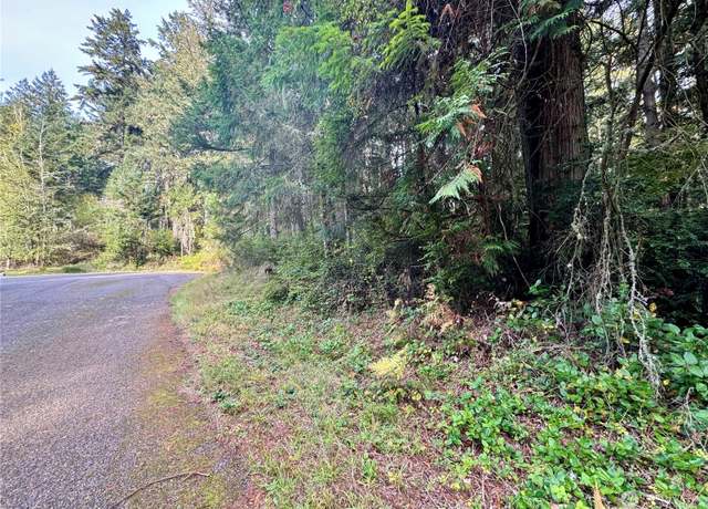 Property at 11411 Tillicum Dr, Anderson Island, WA 98303