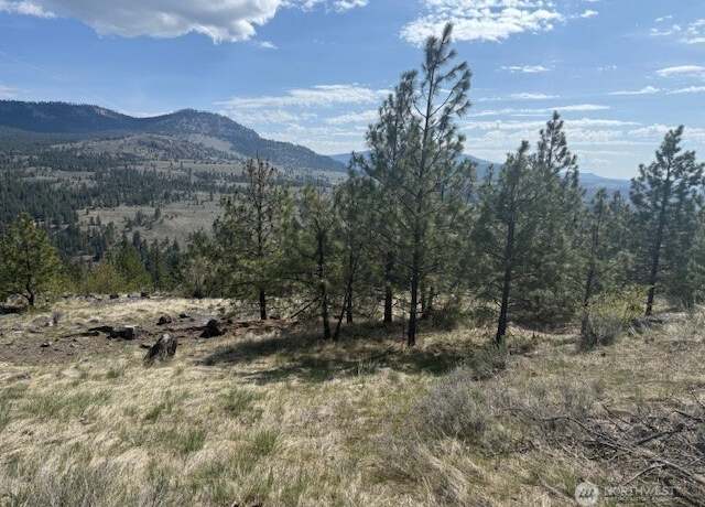 Property at 111 W Cayuse Mtn, Tonasket, WA 98855