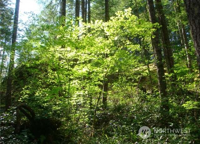 Property at 16 WS1 Blk 3 Lot 16B, Hoodsport, WA 98548