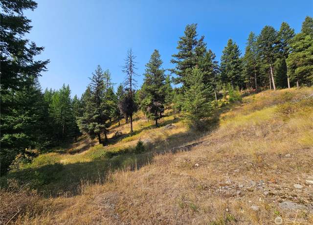 Property at 0 Matts Rd, Oroville, WA 98844
