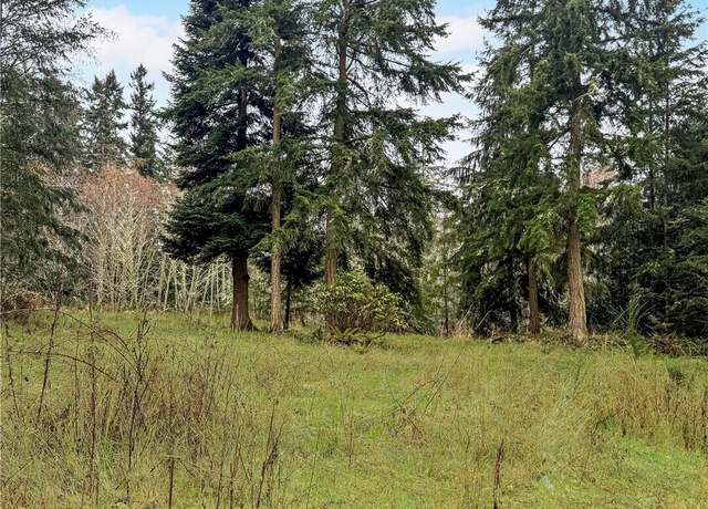 Property at 0 Prospect Ave, Port Hadlock, WA 98339