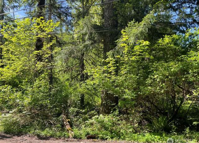 Property at 193 Paradise Dr, Eatonville, WA 98328