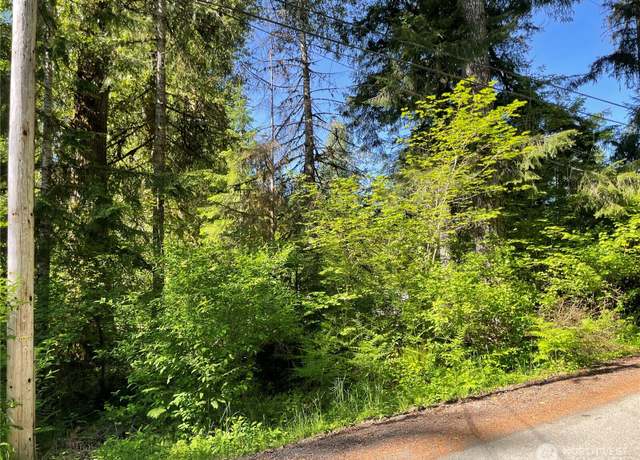 Property at 195 Paradise Dr, Eatonville, WA 98328