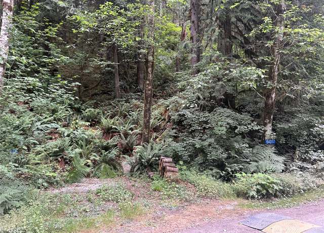 Property at 64017 E Cascade Dr Unit 3-194, Marblemount, WA 98267