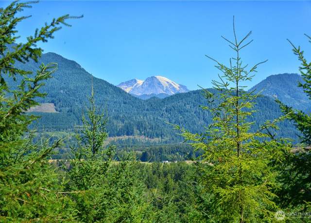 Property at 1 Skinner Rd, Randle, WA 98377