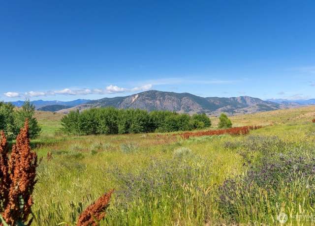 Property at 121 Finley Canyon Rd, Twisp, WA 98856