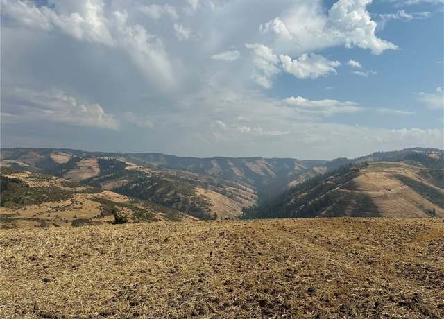 Property at 0 Spring Creek Rd, Waitsburg, WA 99361