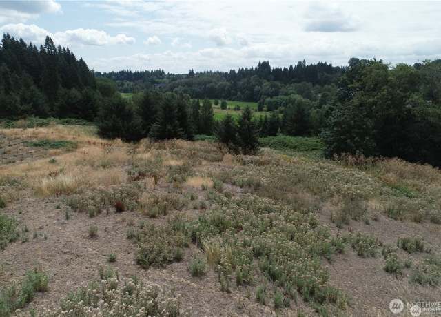 Property at 0 NW 169th St, WA 98642