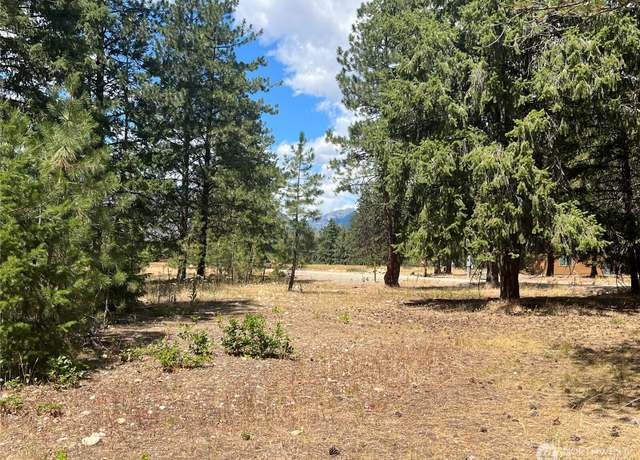 Property at 4 Mazama Meadows Ln, Mazama, WA 98833