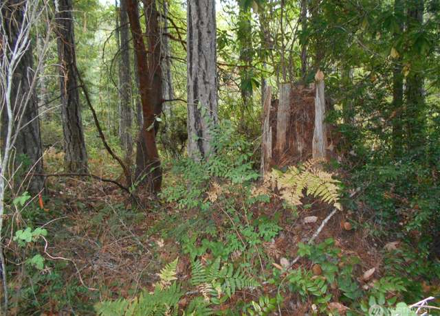Property at 0 Belgian, Brinnon, WA 98320