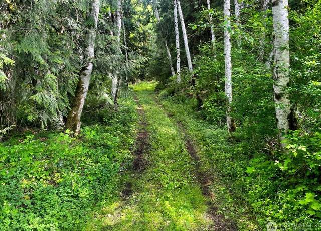 Property at 293 Zion View Ln, Quilcene, WA 98376