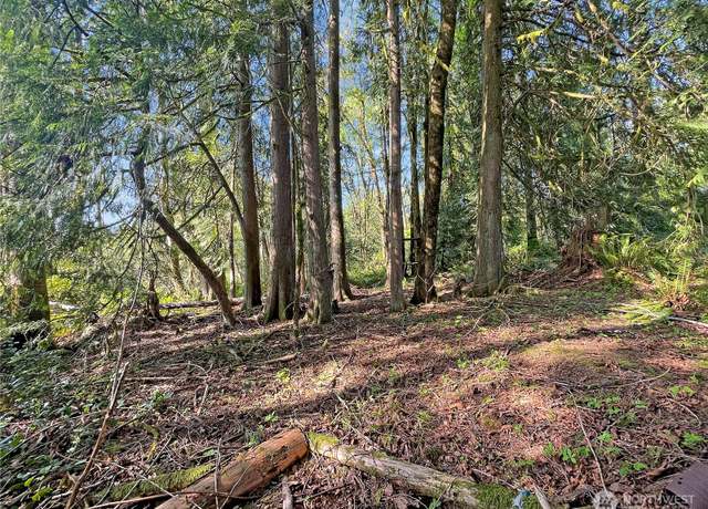 Property at 0 Studebaker Spur 1, Castle Rock, WA 98611