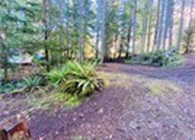 Property at 91 N Quilnault Pl, Hoodsport, WA 98548