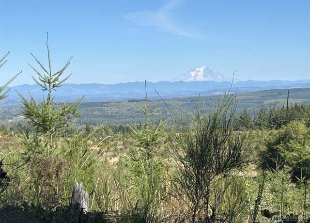 Property at 0 Casey Rd, Castle Rock, WA 98611