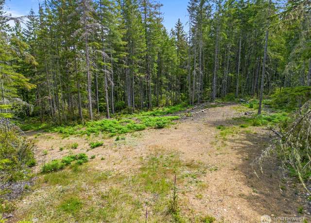 Property at 905 NE Tahuya Blacksmith Rd, Tahuya, WA 98588