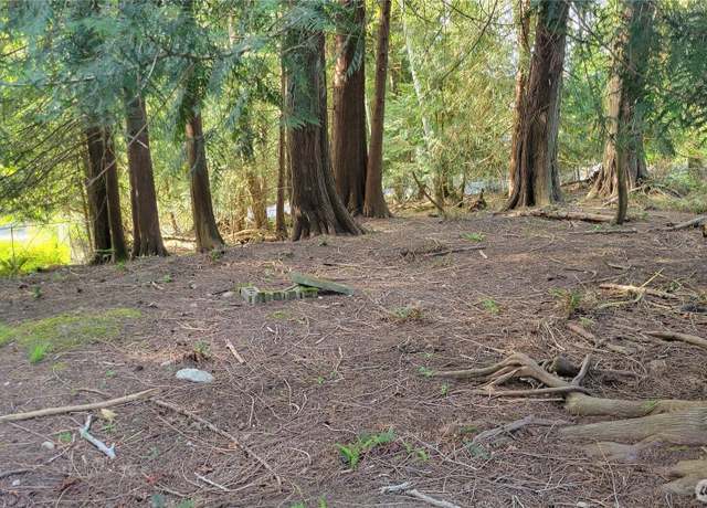 Property at 10130 Lookout Dr NW, Olympia, WA 98502