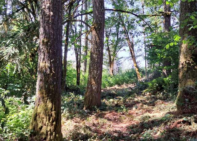 Property at 0 Loop Lot 1 Rd, Centralia, WA 98531
