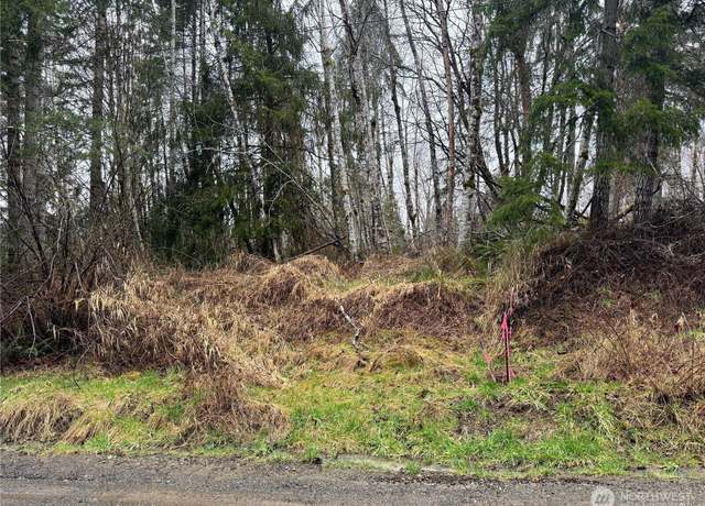 Property at 61 W Thunderbird Dr, Elma, WA 98541